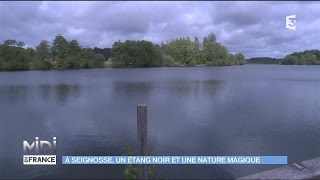 A Seignosse un étang noir et une nature magique [upl. by Ofelia]