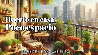 👷🏻‍♂️ Como hacer un huerto en casa con poco espacio [upl. by Solim]