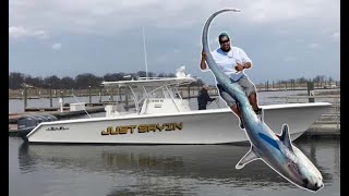 NJ Thresher Shark CATCH CLEAN amp COOK Part 1 [upl. by Yerd779]