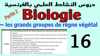 les grands groupes de règne végétal les angiospermes 2 [upl. by Vail177]