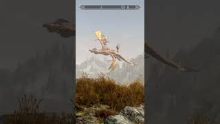 SKYRIM at its best skyrim elderscrolls [upl. by Arihsat]