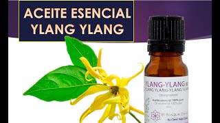 ACEITE ESENCIAL YLANG YLANG BENEFICIOS E INCONVENIENTES [upl. by Nnahoj393]