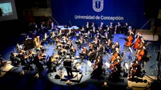 Pantera Rosa Orquesta Sinfonica de Concepción [upl. by Euqitsym]