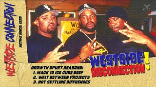 DISCONNECTED What Really Happened To Westside Connection Stunted Growth Music [upl. by Alyl]