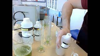 To investigate the effect of pH on enzyme activity [upl. by Nared]