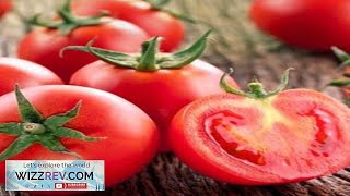 Tomato Sub Arctic Plenty Early Determinate – Seeds Review [upl. by Norreg165]