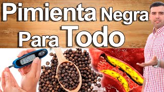 Beneficios De La Pimienta Negra Para La Salud  Para Qué Sirve Y Contraindicaciones [upl. by Oicelem]