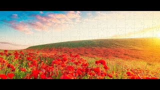 Fun jigsaw Puzzle play [upl. by Ossy]