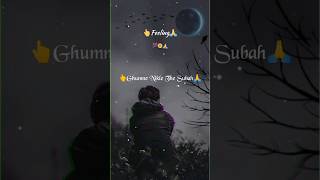 👆Ghumne Nikle The🙏sad shayari lyrics short 🥀whatsapp status💯ytshorts sad [upl. by Itirahc]