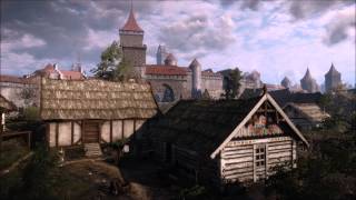 The Witcher 3 OST  Novigrad  Farcorners Combat [upl. by Kaila]