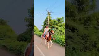 Bavali 🐎🐴viralvideo song shorts [upl. by Newra]