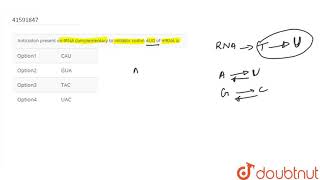 Anticodon present on tRNA complementary to initiator codon AUG of mRNA is [upl. by Darrell68]