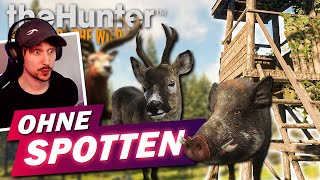 Ein ganzer Tag IM ANSITZ auf Hirschfelden in the Hunter Call of the Wild [upl. by Tomchay]