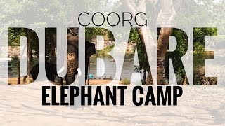 Dubare Elephant Camp  Coorg  Episode 4  D’s World 🌎 [upl. by Ahsiema]