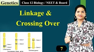 Linkage and Crossing Over Class 12 Biology  Genetics  English [upl. by Strep]