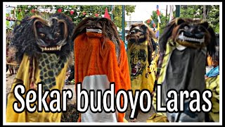 BARONGAN KENDAL SEKAR BUDOYO LARAS CEPIRING [upl. by Enyalaj724]