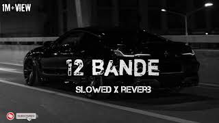 12 bande slowedreverb perfectly reverbed [upl. by Stanly109]