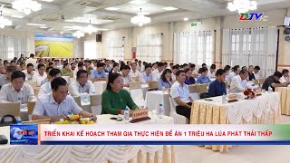 Triển khai kế hoạch tham gia thực hiện Đề án 1 triệu ha lúa phát thải thấp [upl. by Orelie658]