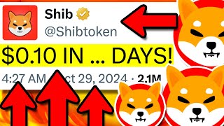 SHIBA INU SHYTOSHI WHAT BUT HOW IS THIS EVEN POSSIBLE  SHIBA INU COIN NEWS TODAY [upl. by Granoff683]