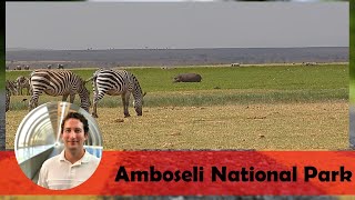 Animals in Amboseli National Park at Ol Tukai Lodge  Kenya [upl. by Enellij]