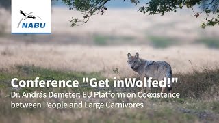 Dr András Demeter EU Platform on Coexistence between People and Large Carnivores [upl. by Keiryt]