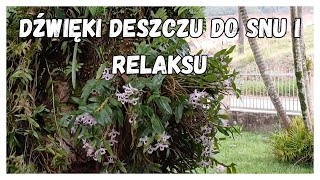 ⛈️🌿 ABY SPAĆ I RELAKSOWAĆ  DŹWIĘKI DESZCZU💤🌙 [upl. by Gurney384]