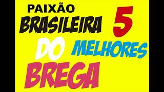 PAIXÃO BRASILEIRA DO BREGA AS 5 MELHORES [upl. by Nylcaj]