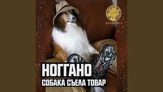 Собака съела товар [upl. by Bivins679]