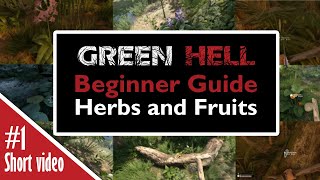 GREEN HELL BEGINNER GUIDE HERBS AND FRUITS 2020 [upl. by Assitruc]