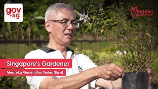 Chinese “Singapore’s Gardener” – Merdeka Generation Series Ep 6 [upl. by Ayhdiv]