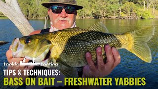 Australian Bass Fishing with Freshwater Yabbies [upl. by Blumenthal]