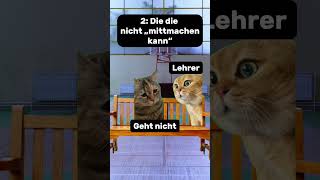 3 Arten von Leuten im Sportunterricht😂 catmemes katzen funny cat katze [upl. by Flanders]