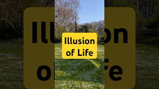 Illusion of life viralshort short illusion life nature humanity illusions illustration [upl. by Peggie442]