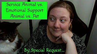 24 Service Animal vs Emotional Support Animal vs Pet [upl. by Aidnyc]