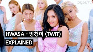 HWASA  멍청이 TWIT Explained by a Korean [upl. by Oletha674]