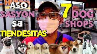 Best Pet Shop In The Philippines 🇵🇭  Tiendesitas Pet Shop 🐕🐶  Tiendesitas Dog Shop 🐩  Dog Lover ❤ [upl. by Halimaj]