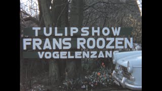 Vogelenzang 1963 archive footage [upl. by Nirad]