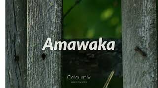 Amawaka Slowed amp Reverb slowedandreverb songs [upl. by Isabelle]