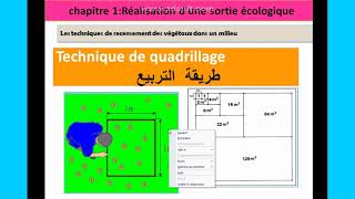 Technique de quadrillage sortie écologique tronc commun science svt تقنية التربيع شرح بالعربية [upl. by Haleak]