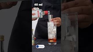 Campari Gin Tonic in 60 Seconds  Bold amp Bitter Cocktail [upl. by Arbuckle]