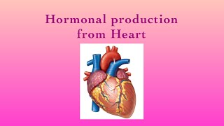 ENDOCRINE SYSTEMHormonal production from HeartPart13 [upl. by Kalil]