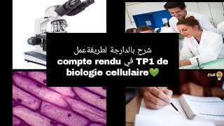 شرح بالدارجة لطريقة عمل compte rendu في TP1 de biologie cellulaire سنة اولى تخصص بيولوجي L1 Snv s1 [upl. by Enilada]