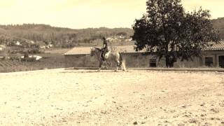 Gentil NPS PSL 3 anos 3 years old lusitano horse [upl. by Odlanier876]