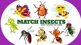 Match insects with nameenglish worksheetKids learning videoAtanu kids class [upl. by Atinrehs]