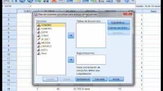 Estimación de parámetros con ponderaciones y SPSS [upl. by Aromas]