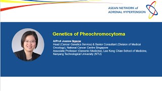 Genetics of Pheochromocytoma [upl. by Adnohsek202]