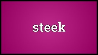 Steek Meaning [upl. by Fawna237]