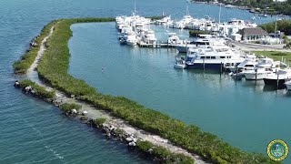 Founders Park Breakwater Restoration Plan Overview [upl. by Bush854]