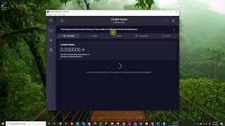 Daedalus 210 Shelley Install and Create a Cardano ada Wallet [upl. by Nnaerb489]