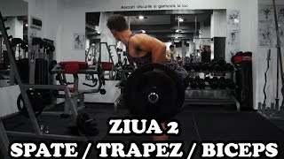 Spate  Trapez  Biceps  Ziua 2  Program incepatori [upl. by Bea]